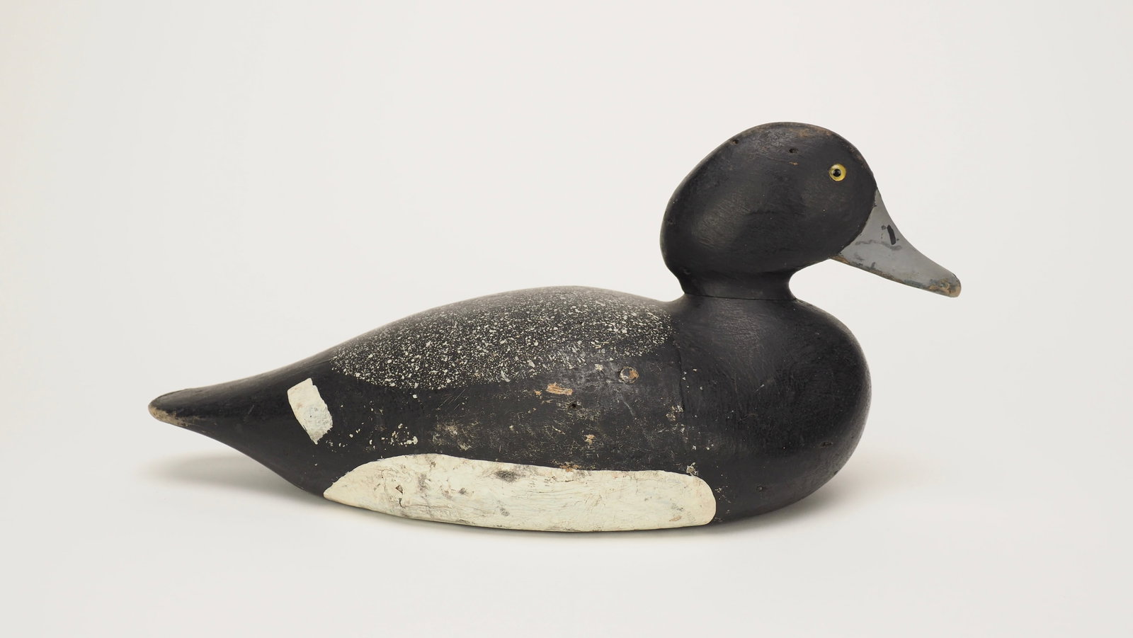 Bluebill Drake - James Stanley (1 of 5)