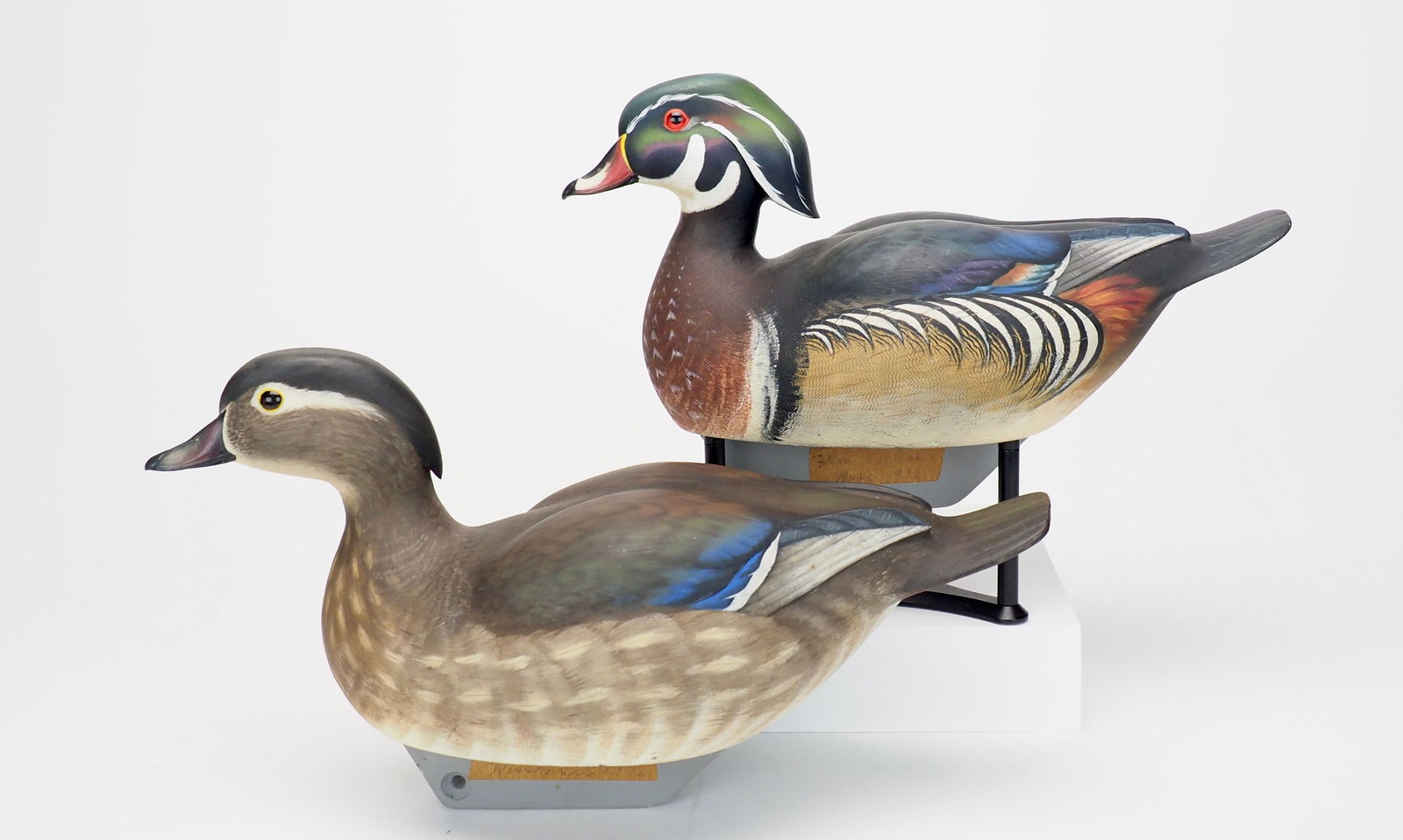 Rare Wood Duck Pair - William J. Koelpin (1 of 20)