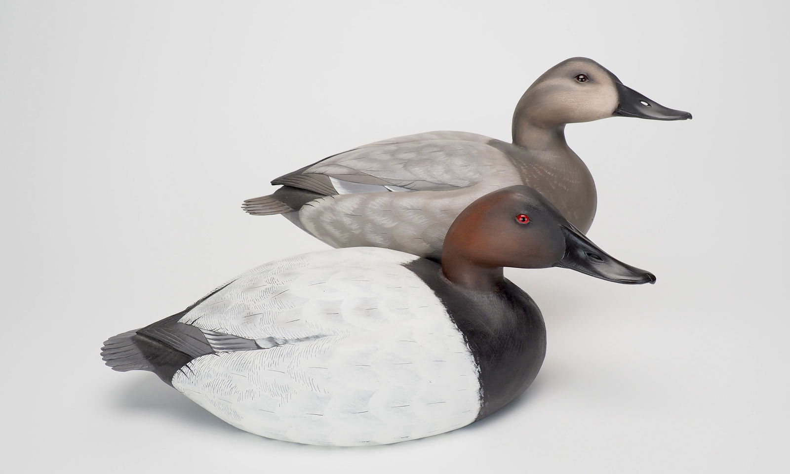 Canvasback Pair - Jim Schmiedlin (1 of 12)
