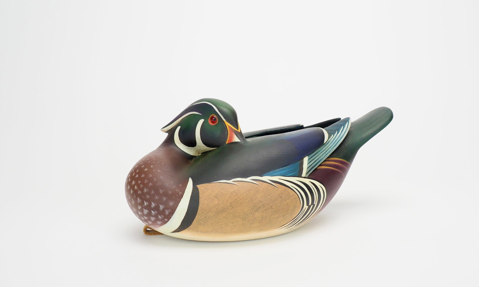 Resting Wood Duck - Keith Mueller (1 of 10)