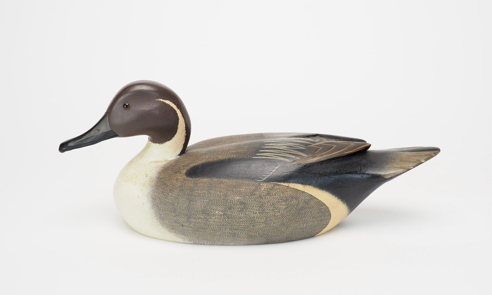 Pintail Drake - J.J. West (1 of 8)