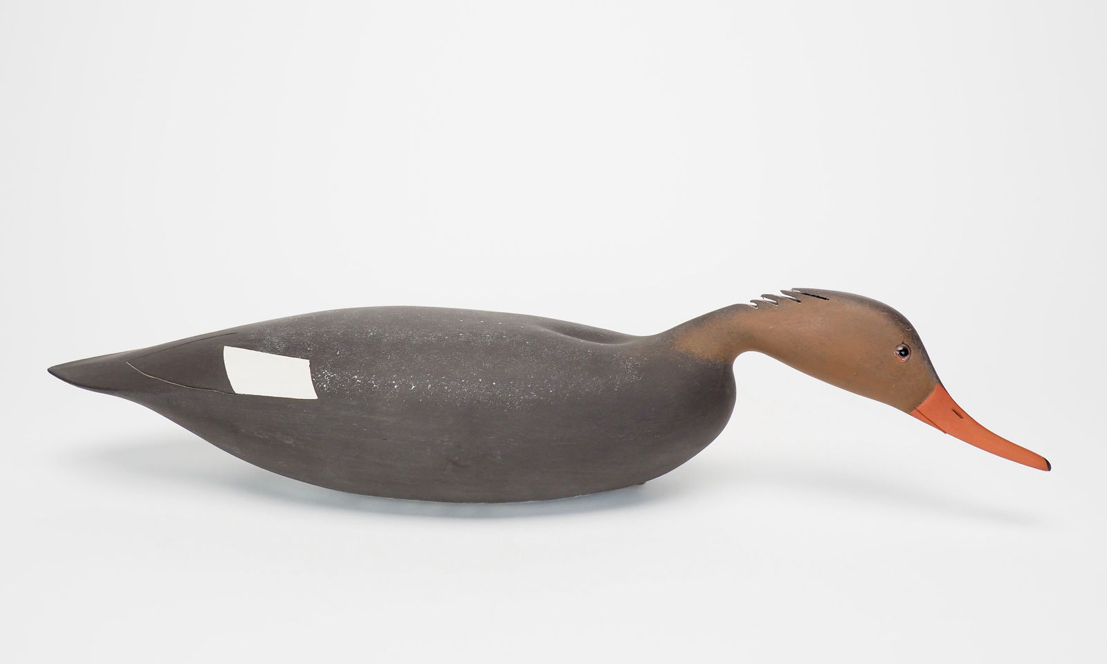 Swimming Merganser Hen - Walt Oler (1 of 5)