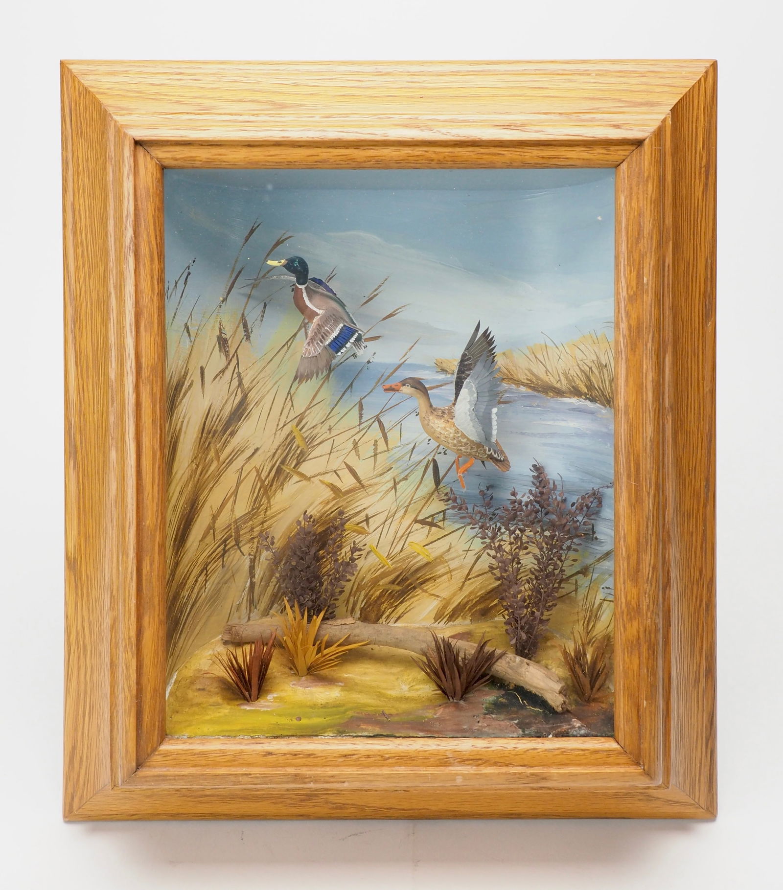 Mallard Diorama - Runar 'R.G.' Rodell: Runar 'R.G.' Rodell (1898-1983) Prescott, AZ 7.5x9.75 sight. | 12.75" x 15" frame | 4" deep Renowned for his three-dimensional wildlife dioramas that capture vivid moments of nature and recreation. Ba