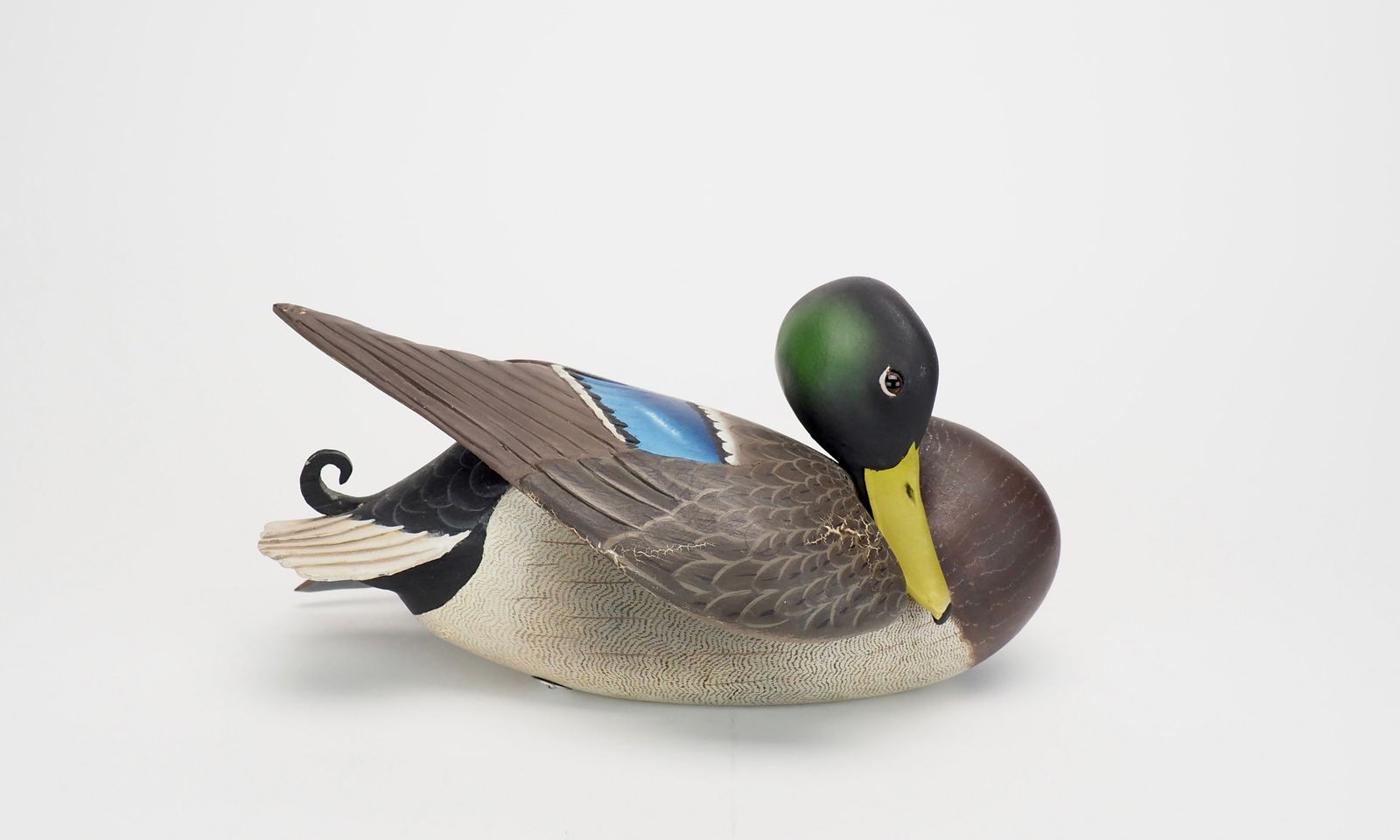 Preening Mallard Drake - The Ward Brothers (1 of 10)