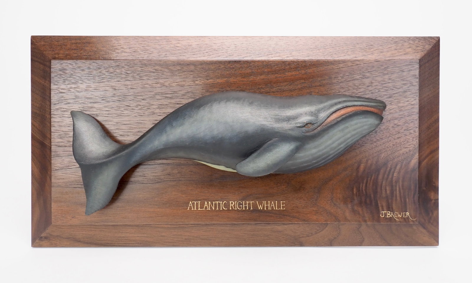 Atlantic Right Whale - Josh Brewer: Josh Brewer (b. 1983) Little Deer Isle, Maine c. 2024 Plaque 14.5" | Whale 10.75" long Beautiful carving with the whale carved from a single piece of wood. Mounted on a custom milled walnut base with 