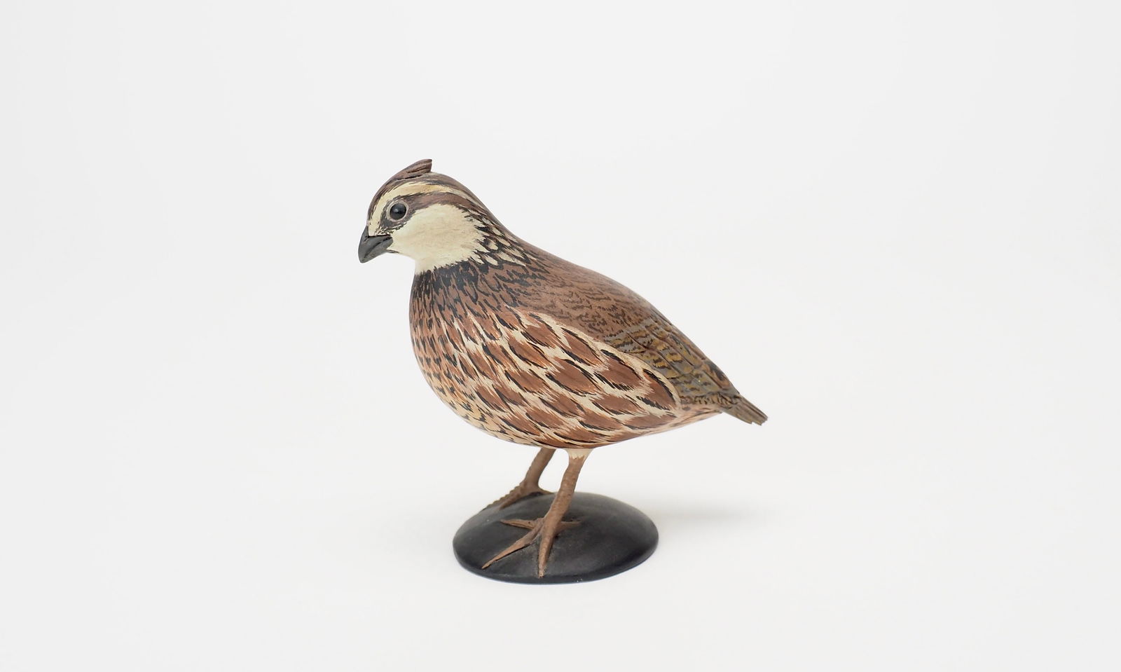 Miniature Male Bobwhite Quail - Eddie Wozny (1 of 6)