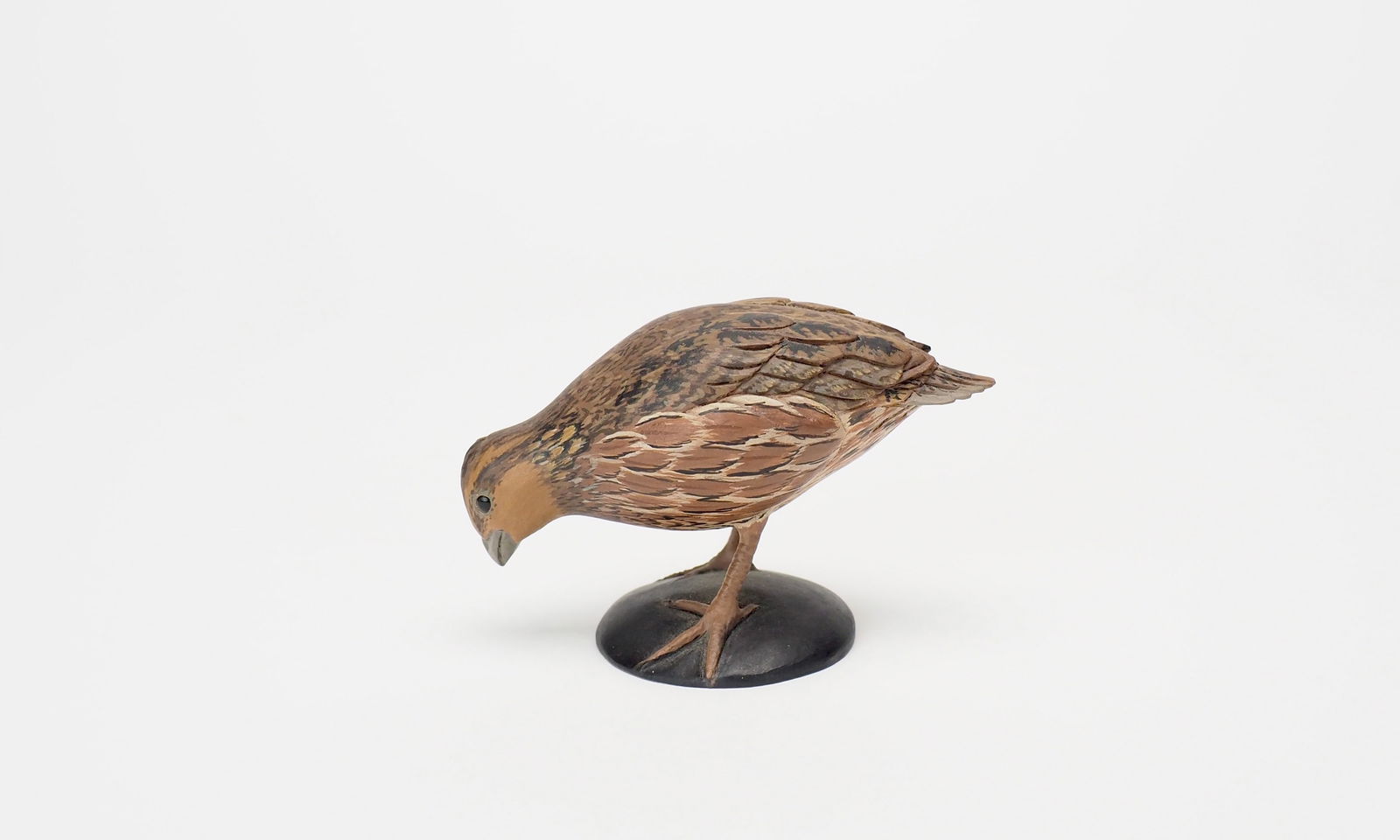 Rare Miniature Female Bobwhite Quail - Eddie Wozny (1 of 7)