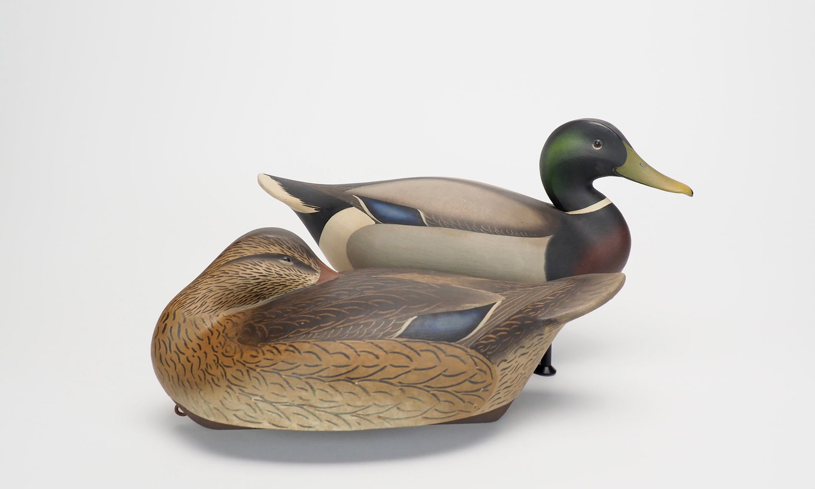 Competition Mallard Pair - Leo McIntosh (1 of 12)