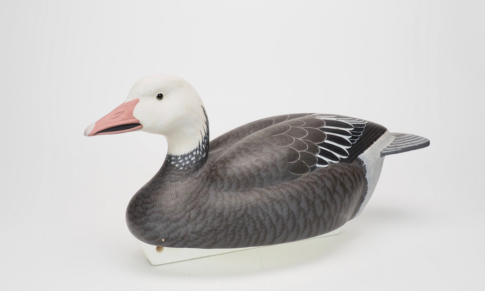 Blue Goose - Forrest Jennings (1 of 6)