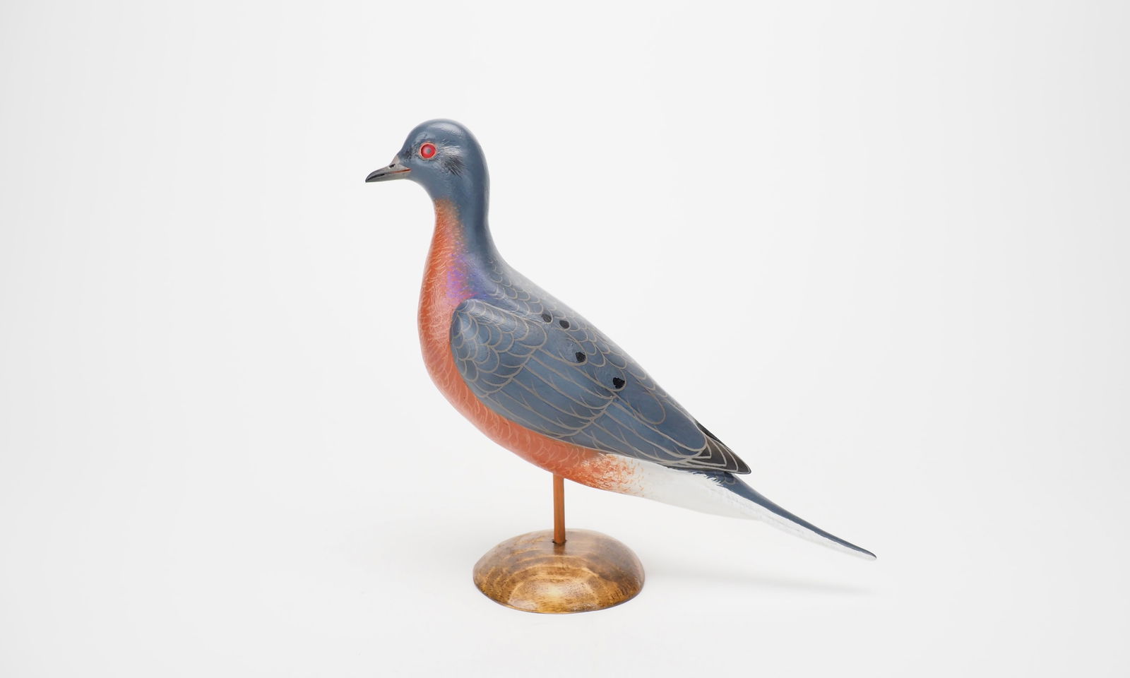 Life-size Passenger Pigeon - John Wood (1 of 5)