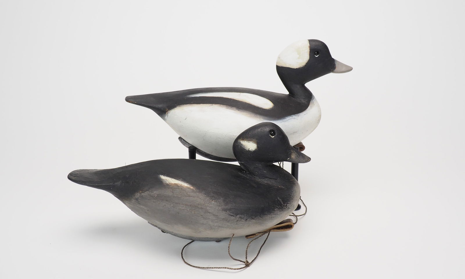 Bufflehead Pair - Pete Peterson (1 of 4)