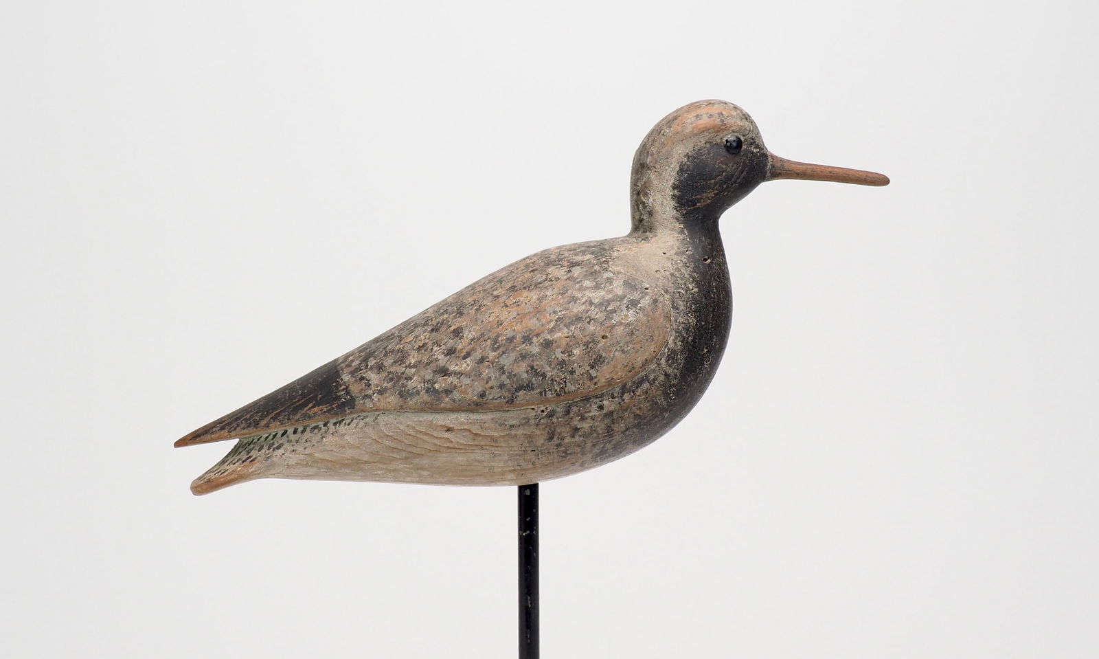 Black-bellied Plover - Mark S. McNair (1 of 8)