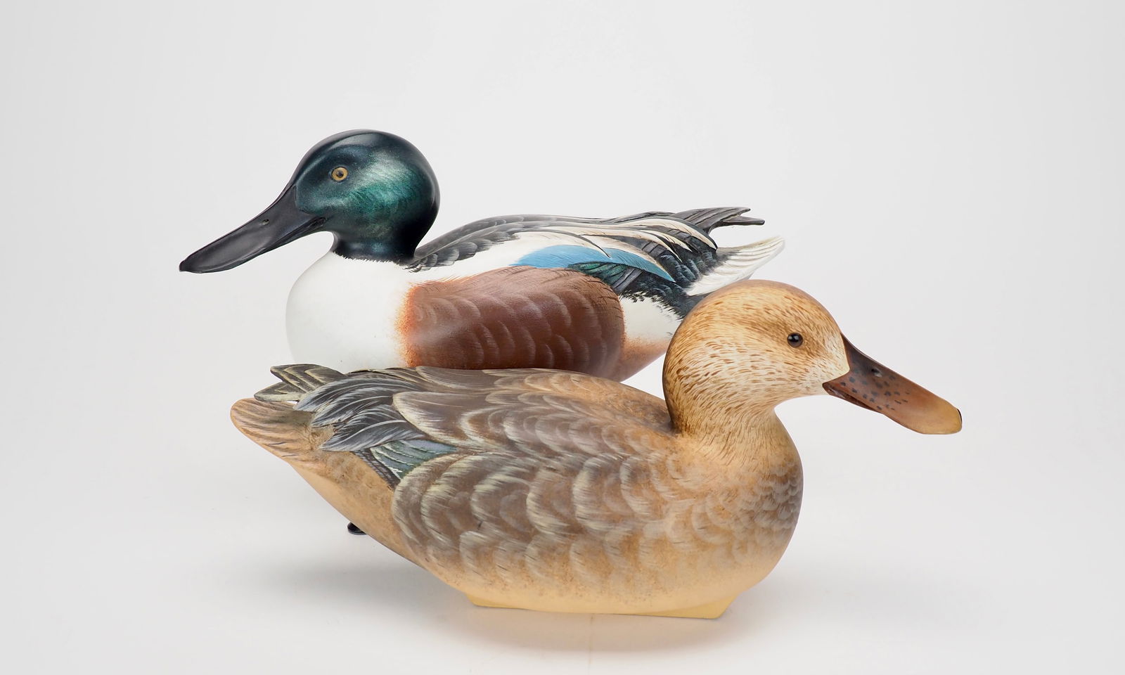 Shoveler Pair - John Kouchinsky (1 of 6)