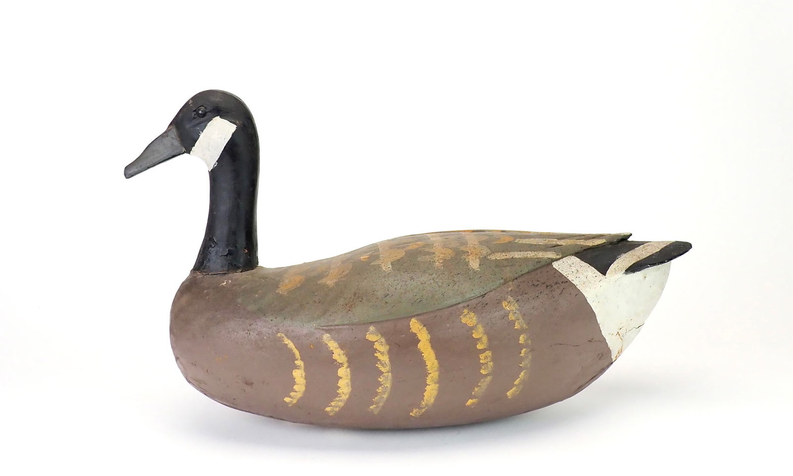 Anthony Spongia - Canada Goose (1 of 9)