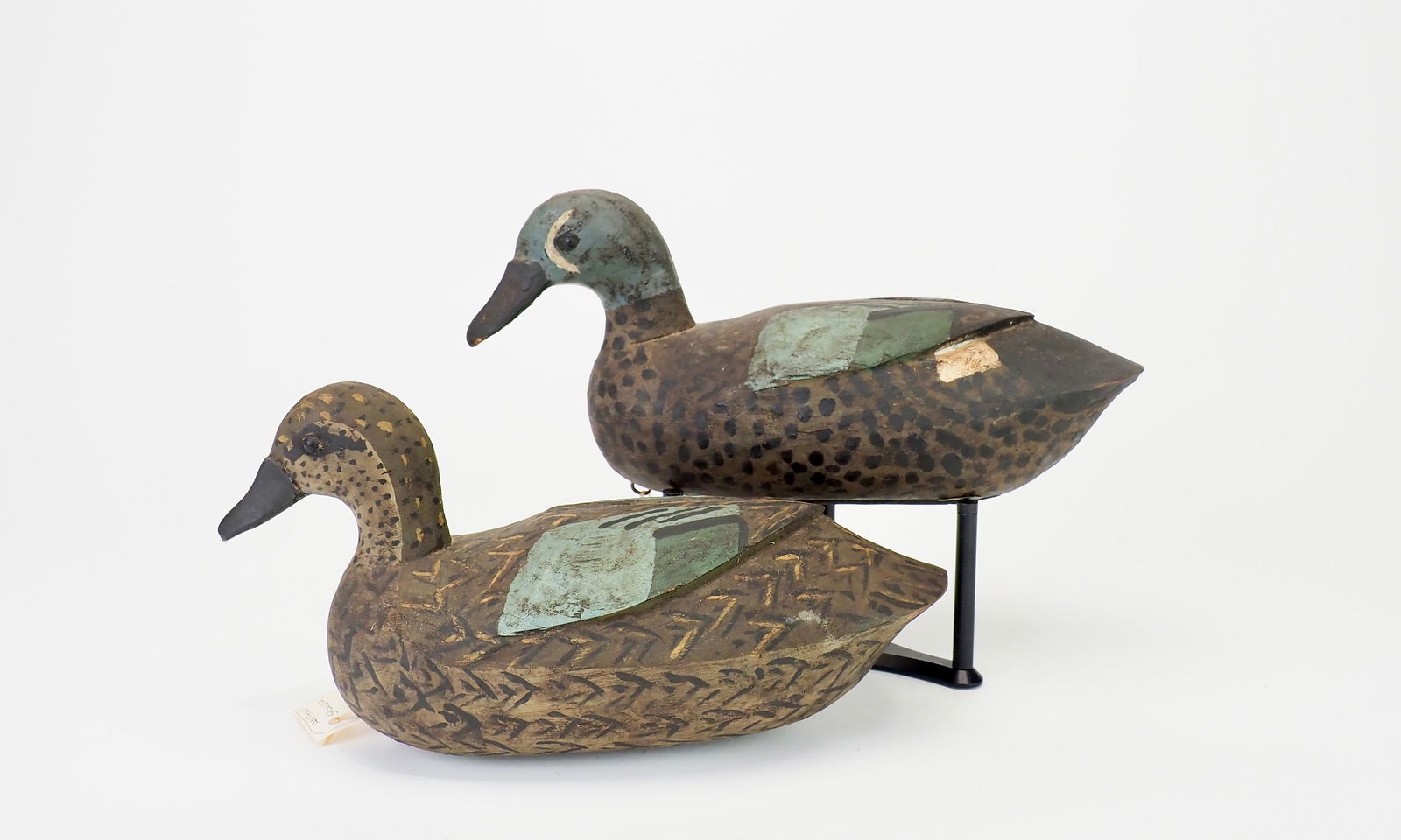 Anthony Spongia - Bluewing Teal Pair (1 of 8)