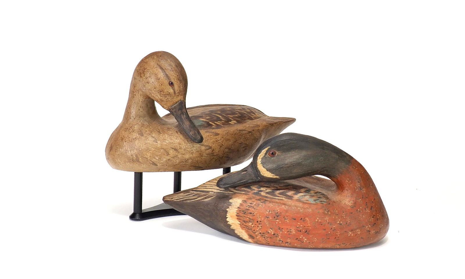 Ken Muller - Preening Bluewing Teal Pair (1 of 6)