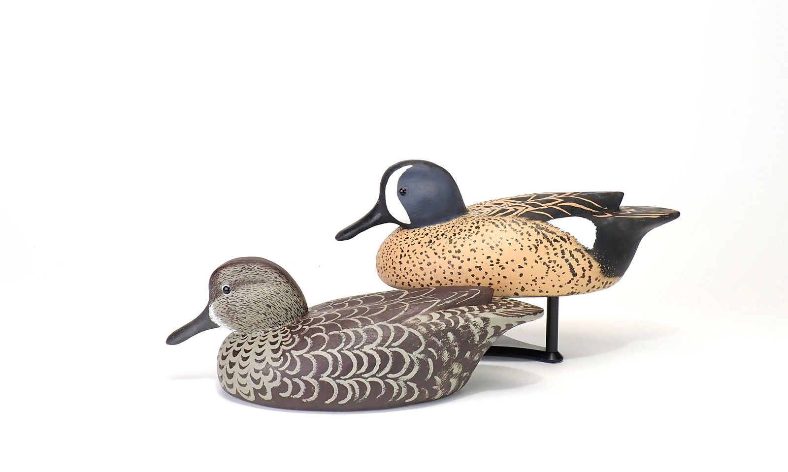 Lew Heard - Bluewing Teal Pair (1 of 6)