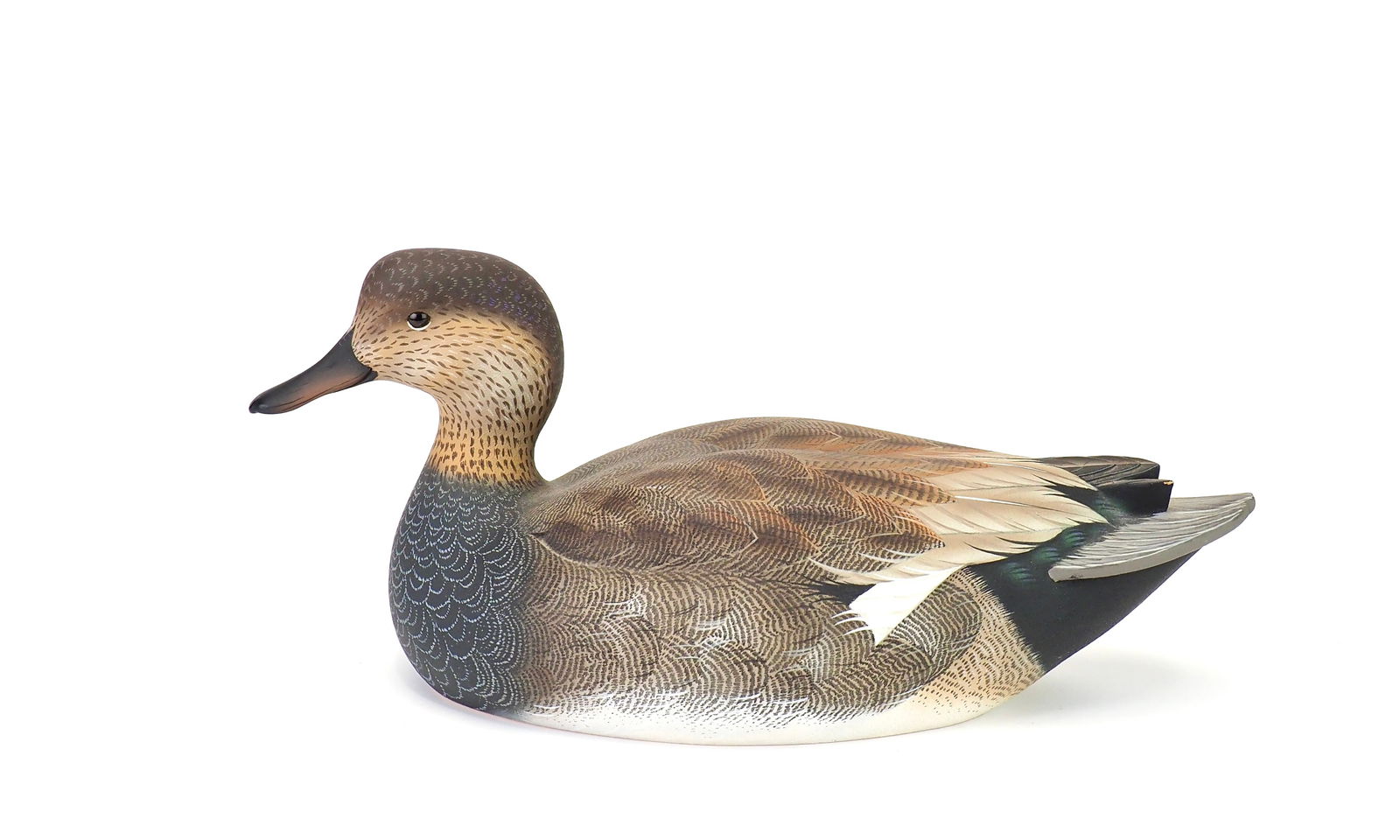 Jimmie Vizier - Gadwall Drake (1 of 6)