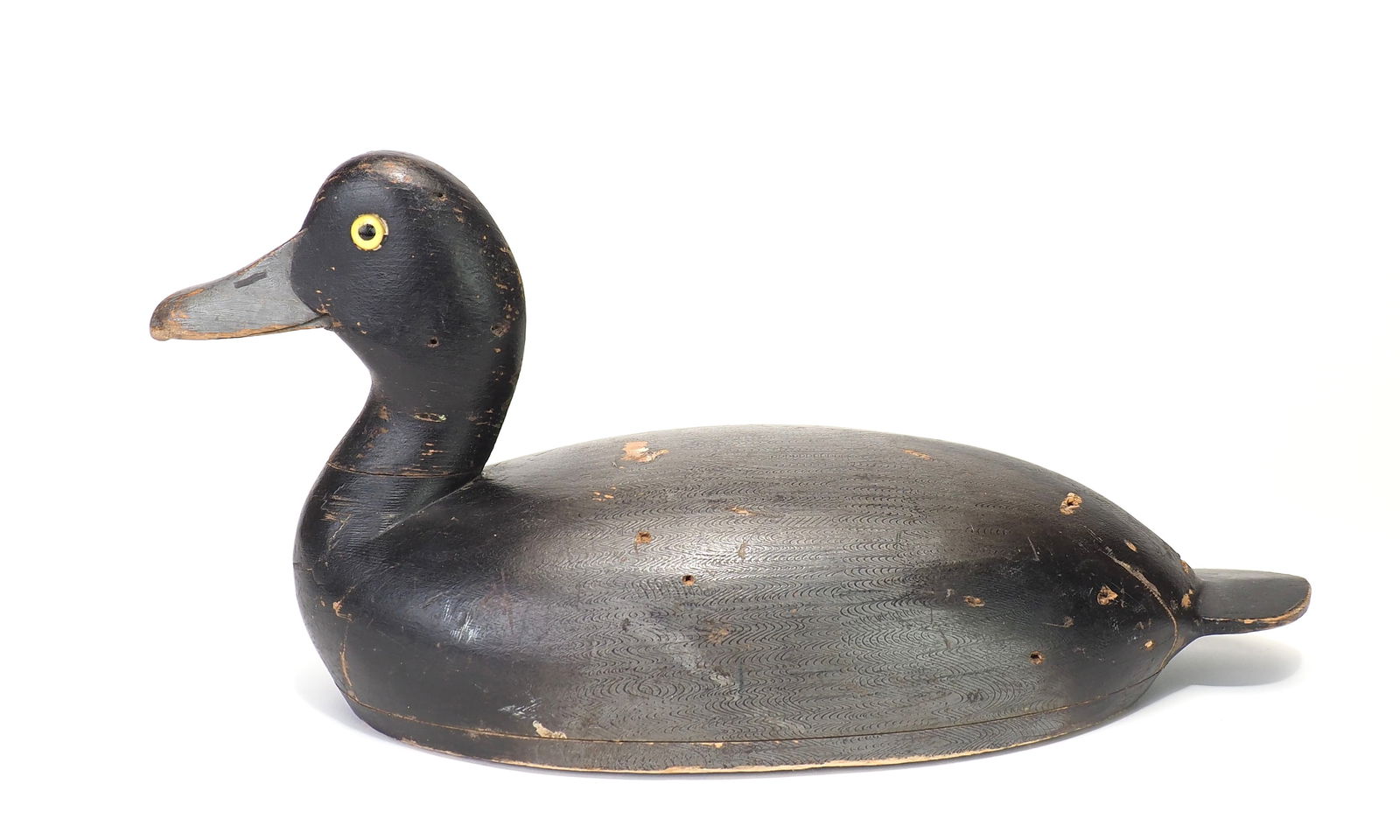 William Clark - Bluebill Drake (1 of 5)