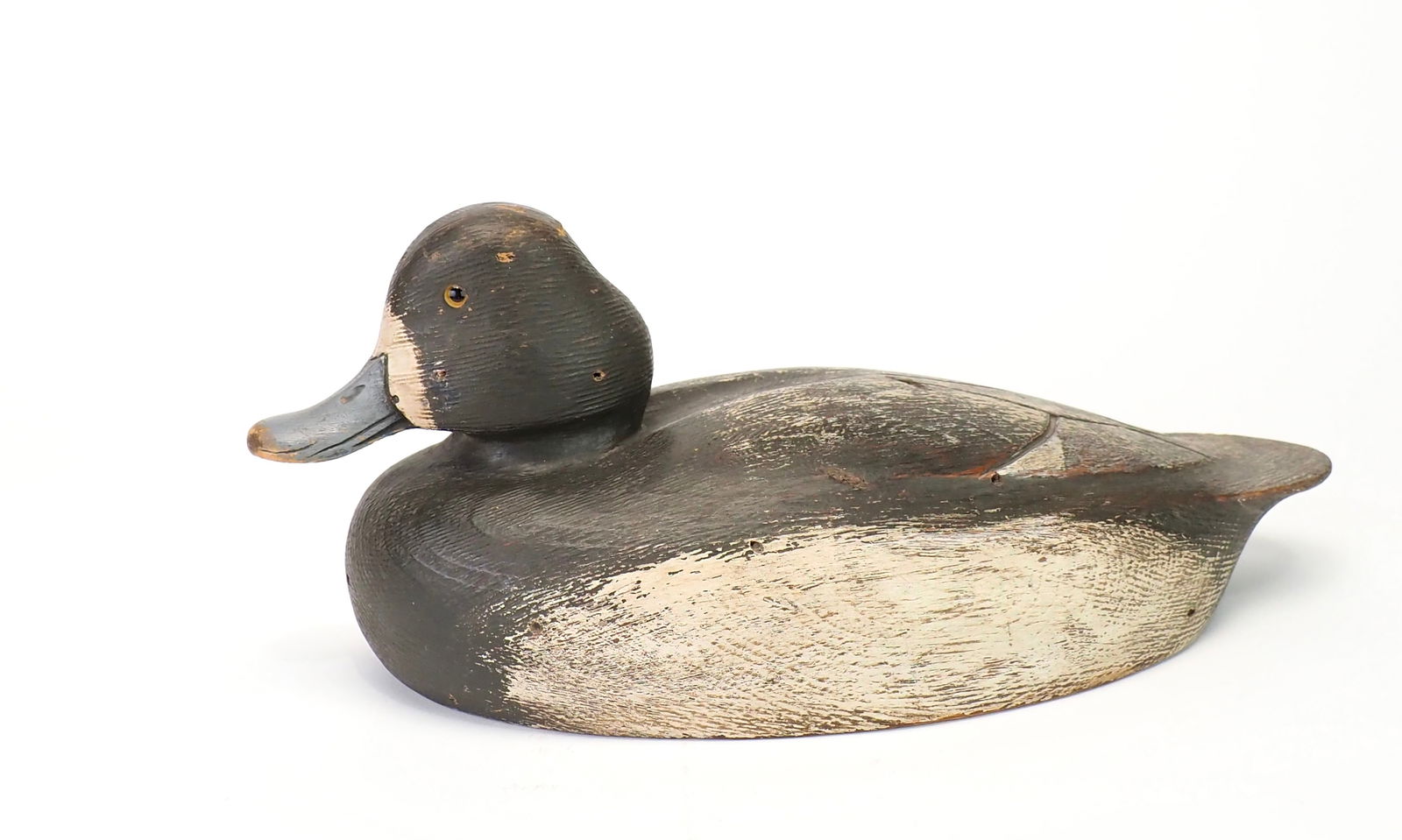 Ken Anger - Bluebill Hen (1 of 6)