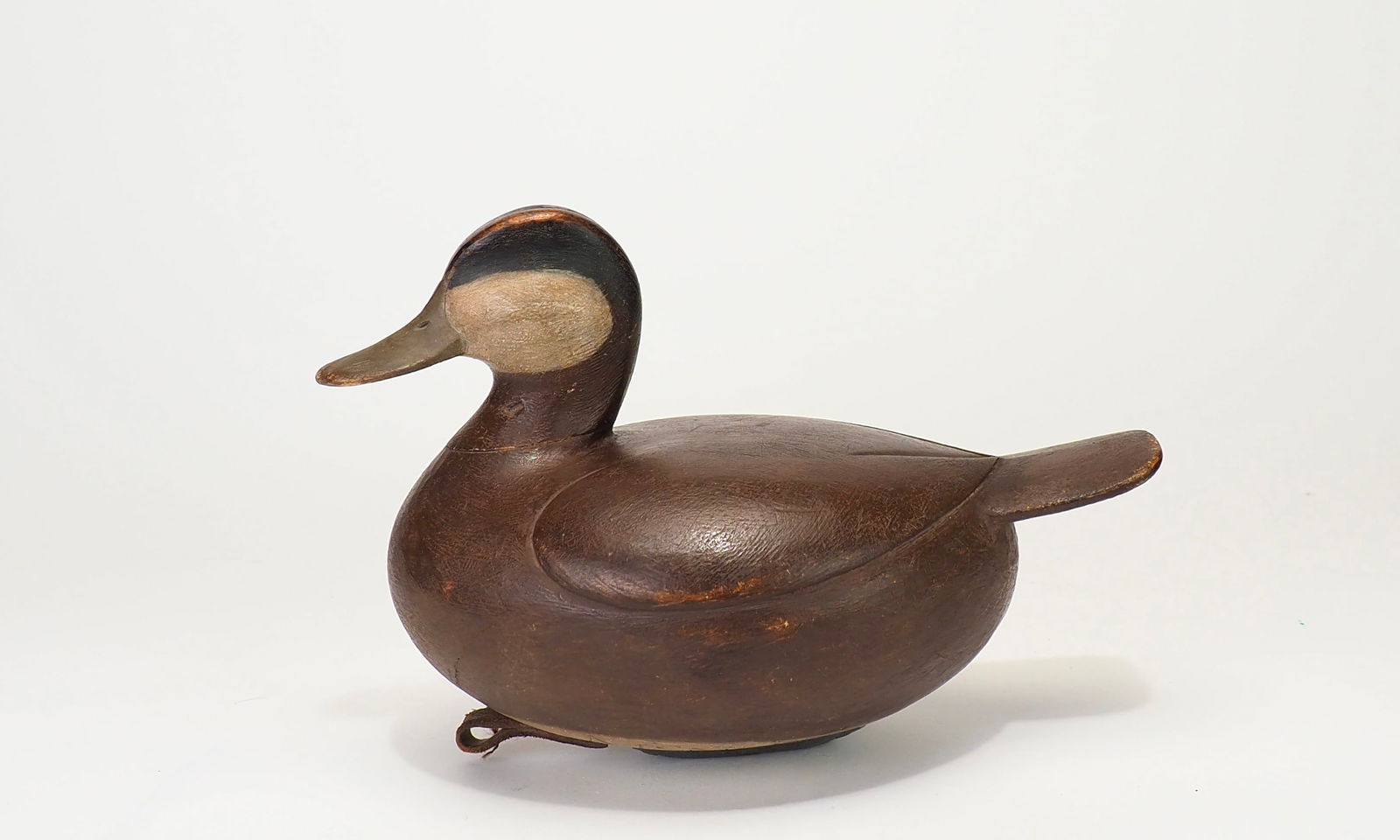 Ruddy Duck - Mark S. McNair (1 of 6)