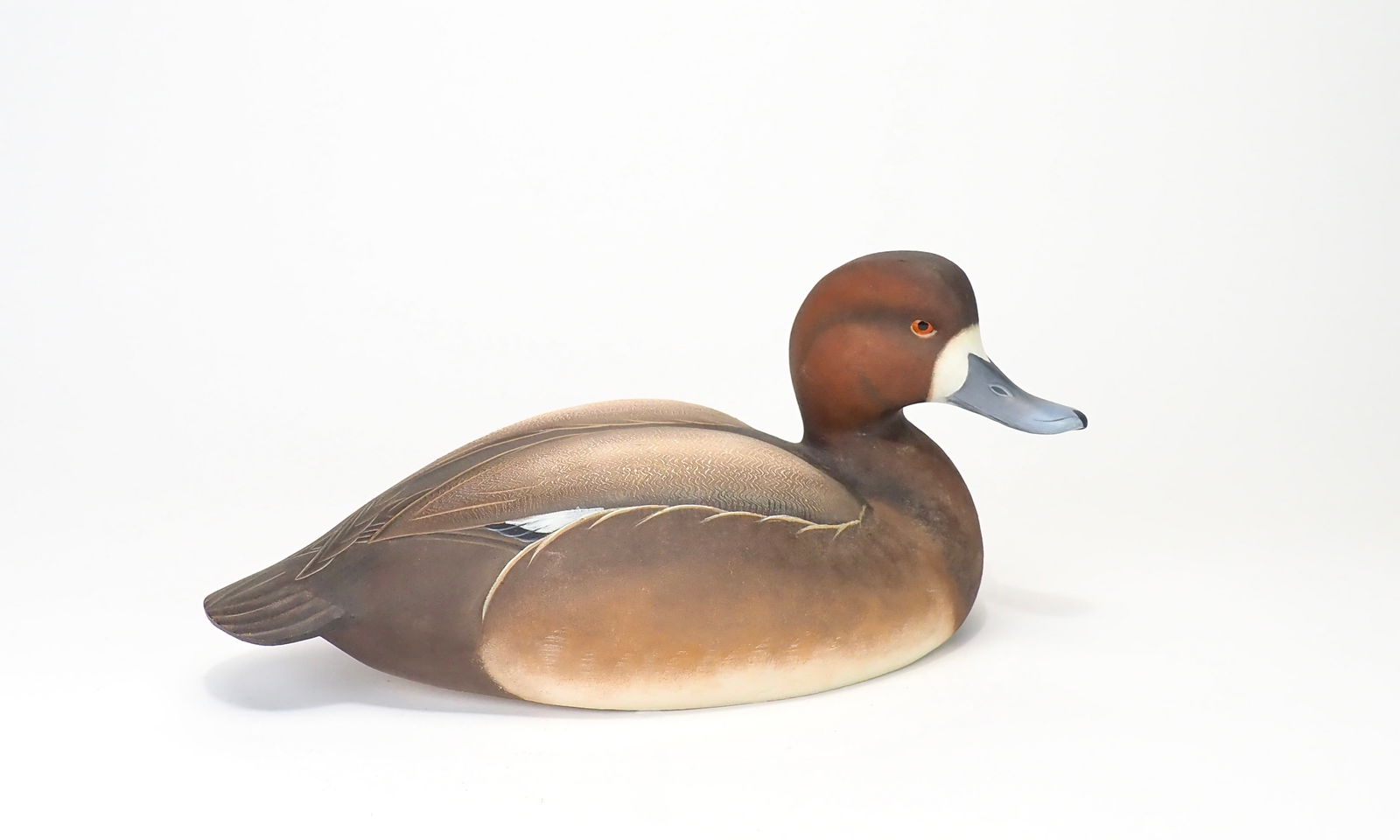 Bluebill Hen - Ben Heinemann (1 of 6)