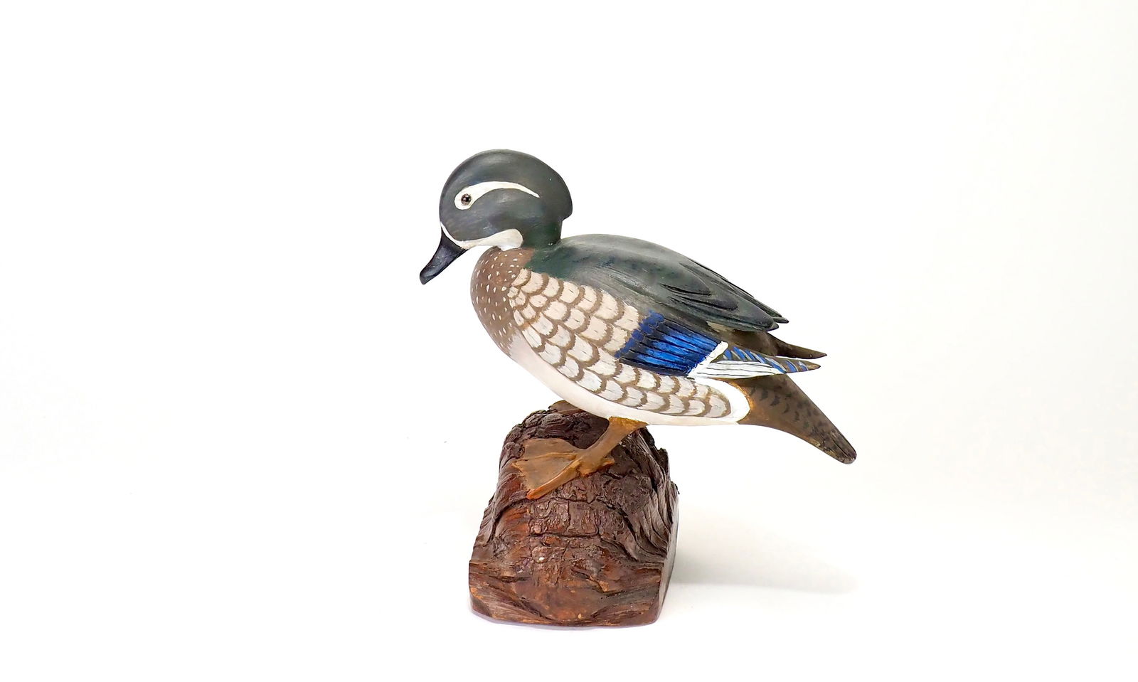 James West - Standing Wood Duck Hen (1 of 8)