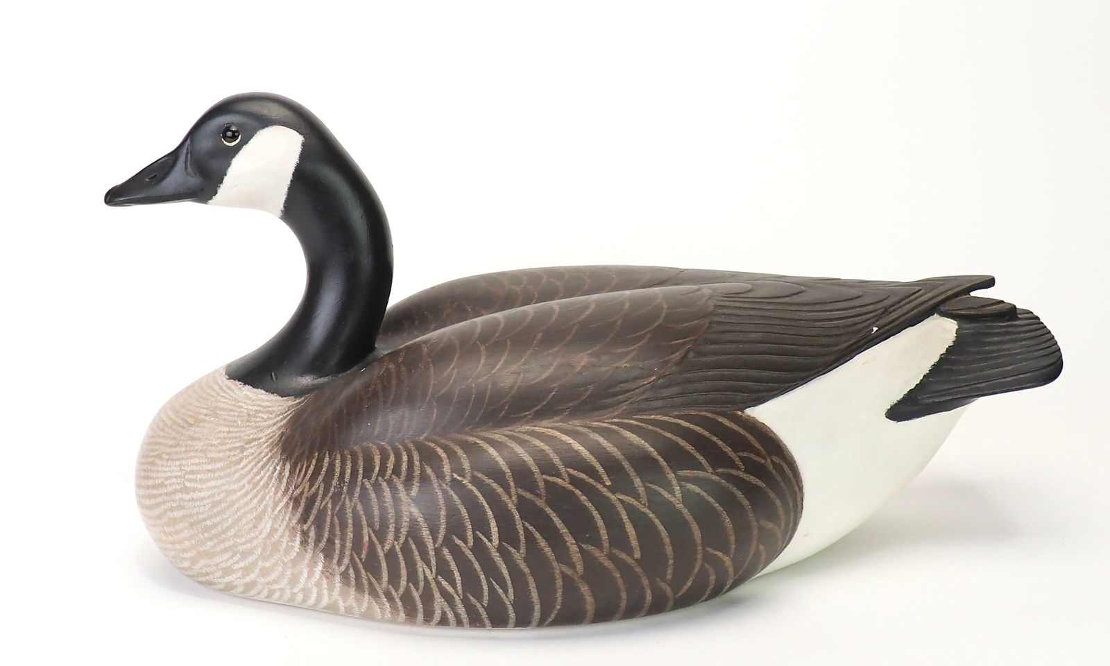 John McLoughlin - Exceptional Canada Goose (1 of 9)