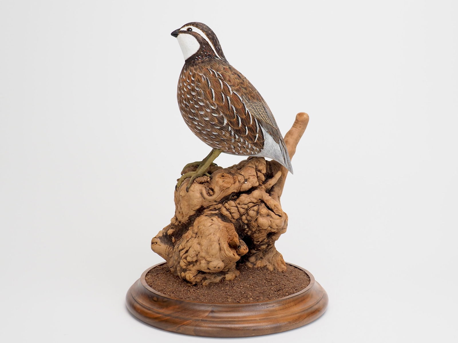 Al Burk - Bob White Quail Carving (1 of 9)
