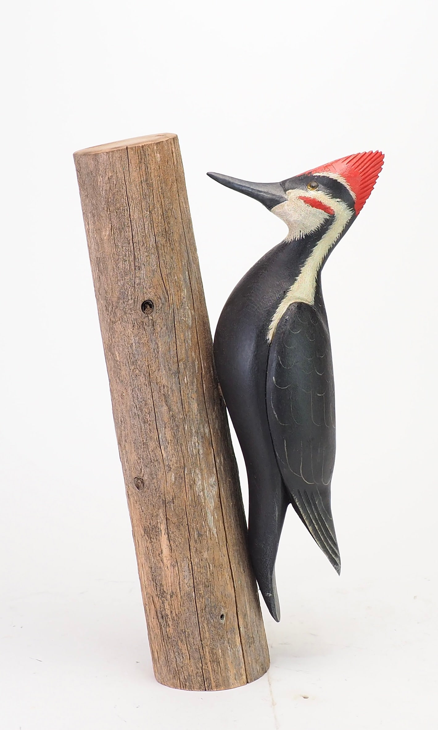 Ken Kirby - Pileated Woodpecker (1 of 5)