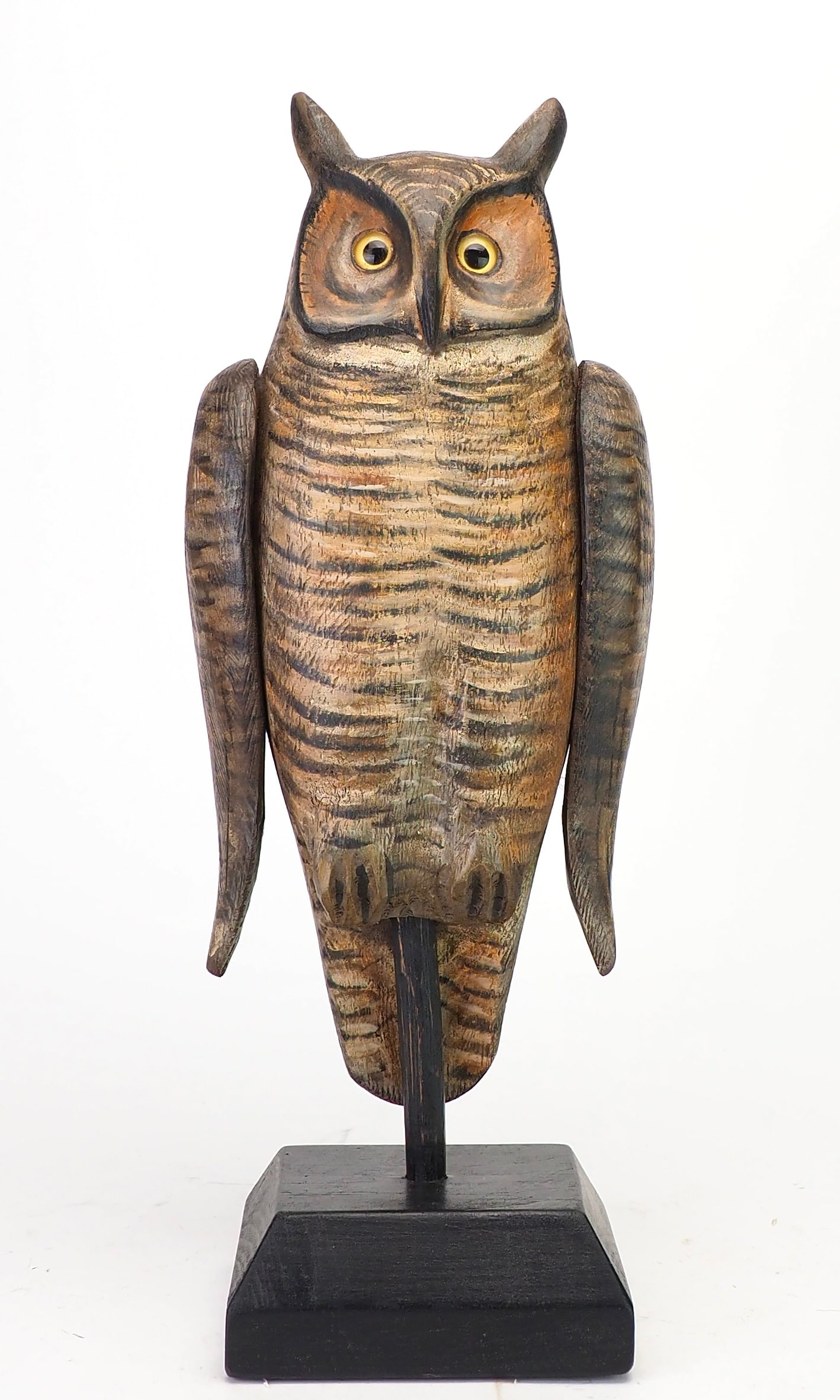 Mike Borrett - Great Horned Owl (1 of 6)