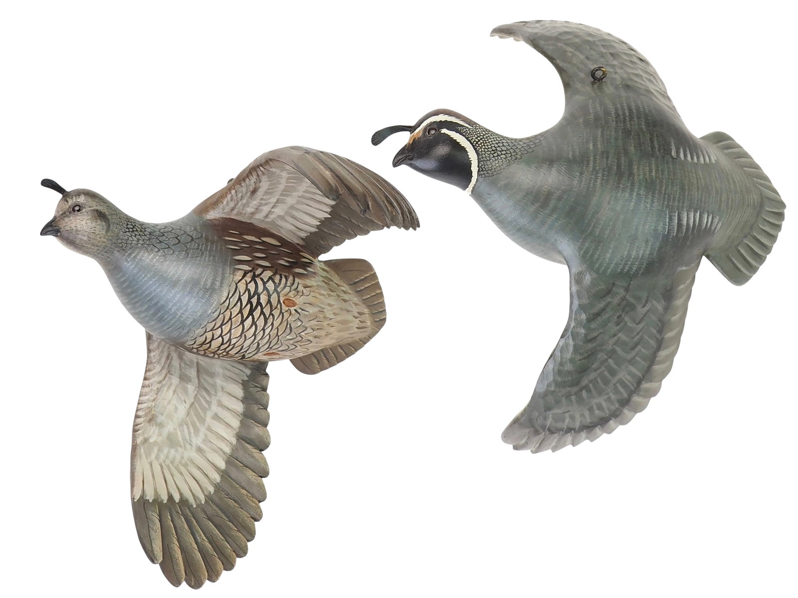 Mike Borrett - Flying Valley Quail Pair (1 of 12)