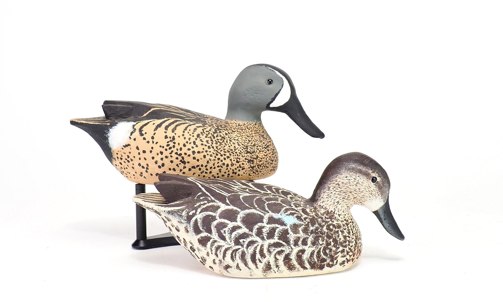 Lew Heard - Blue-winged Teal Pair (1 of 5)