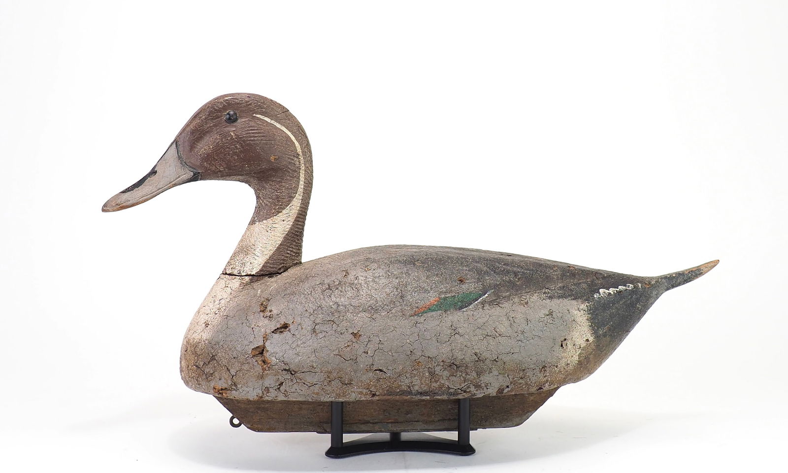 Bill Enright - Pintail Drake (1 of 6)