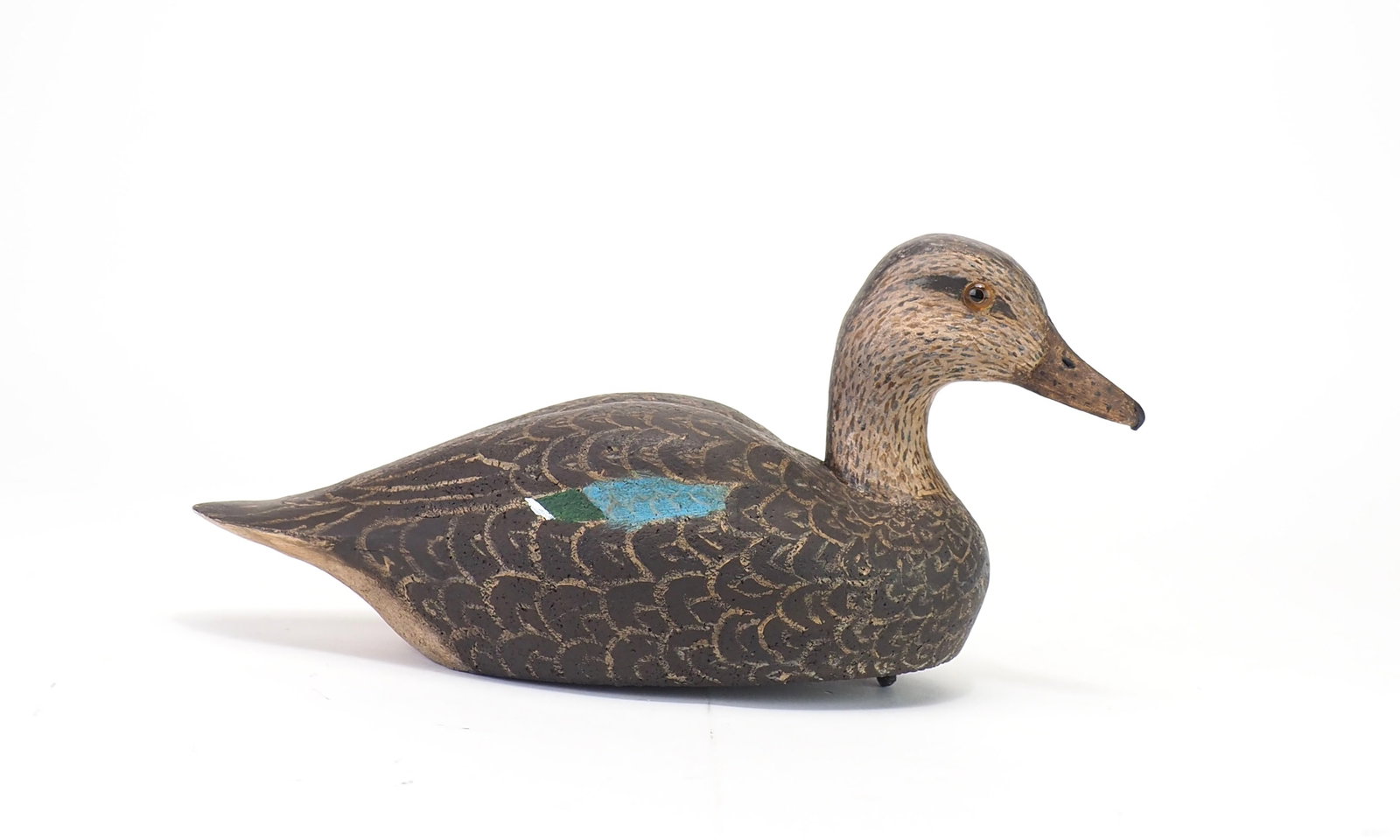 Bud Tyler - Bluewing Teal Hen (1 of 4)