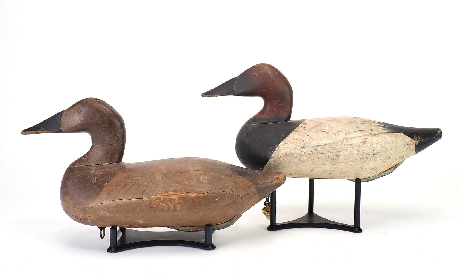 Bob McGaw - Canvasback Pair (1 of 6)