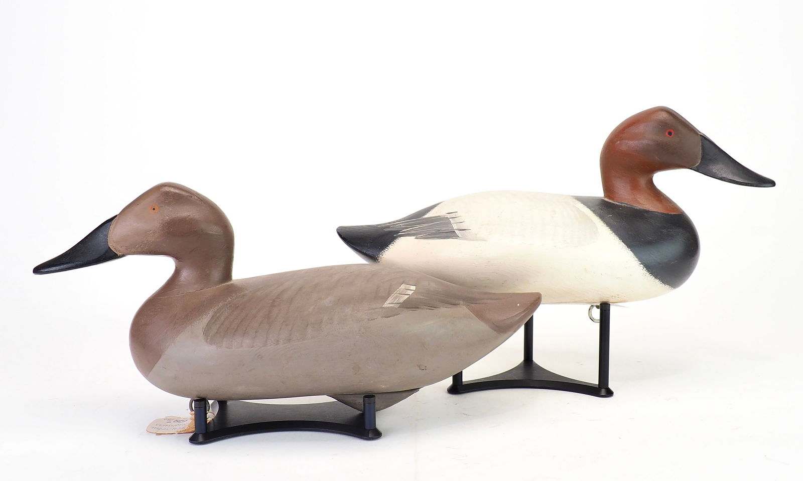 Madison Mitchell - Canvasback Pair (1 of 5)