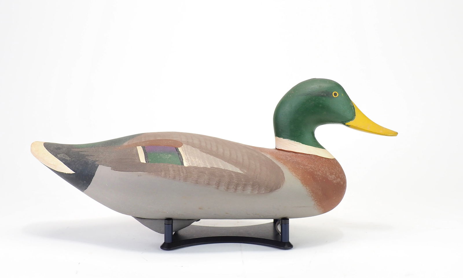 Madison Mitchell - Mallard Drake (1 of 5)