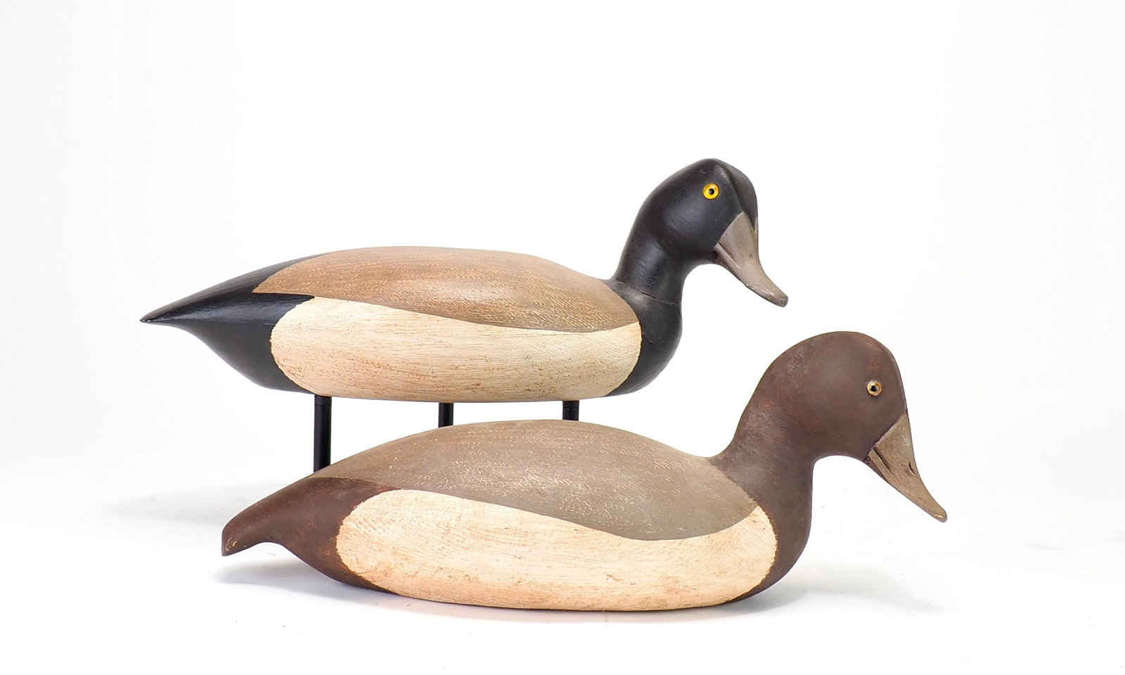 Pat Gregory - Bluebill Pair (1 of 5)