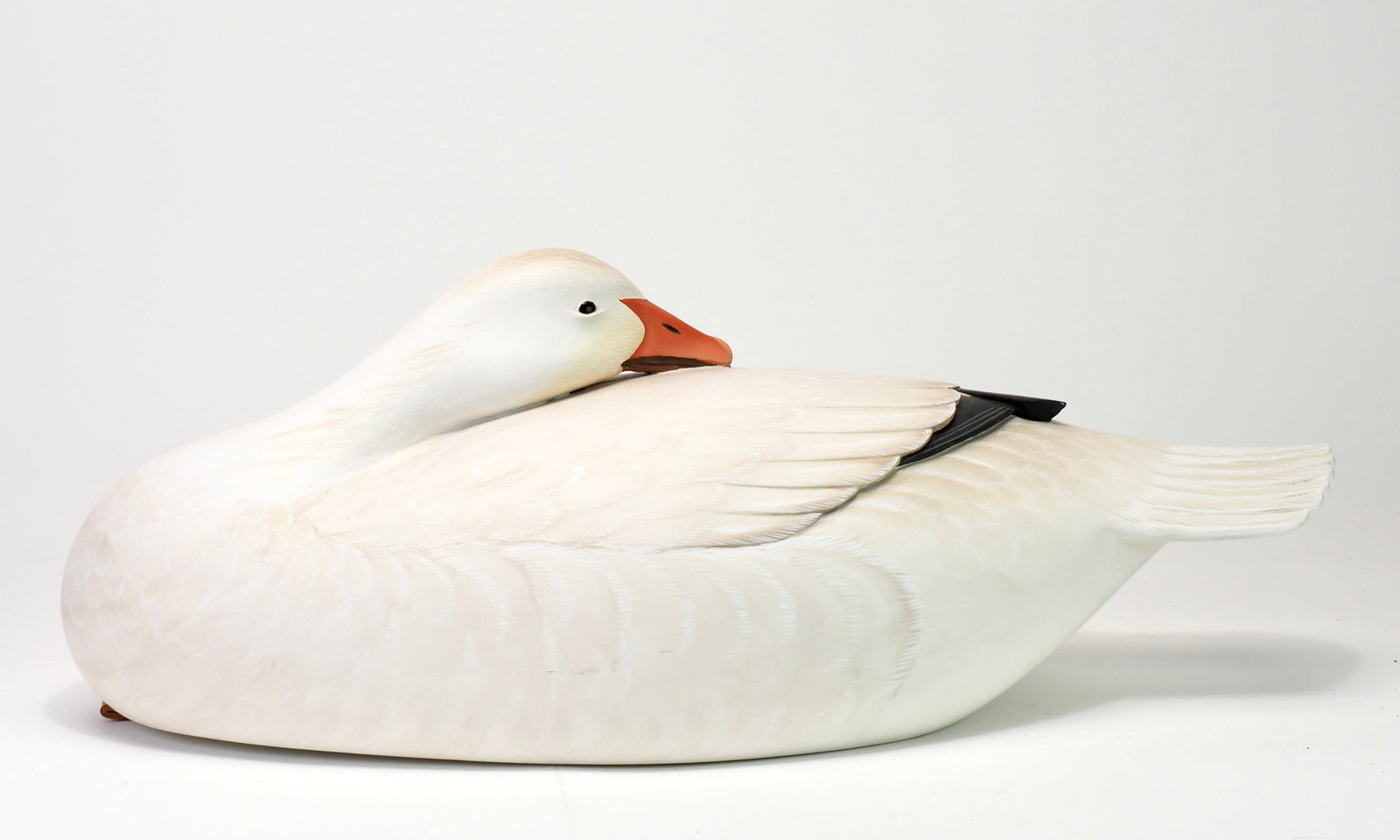George Strunk - Sleeping Snow Goose - 2