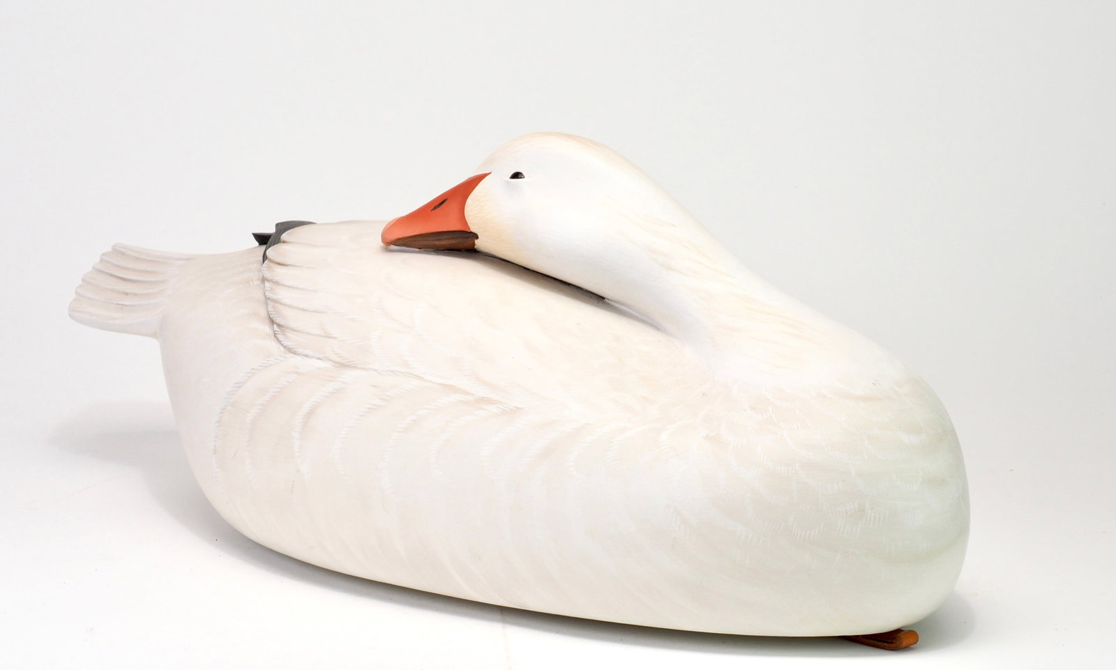 George Strunk - Sleeping Snow Goose - 4