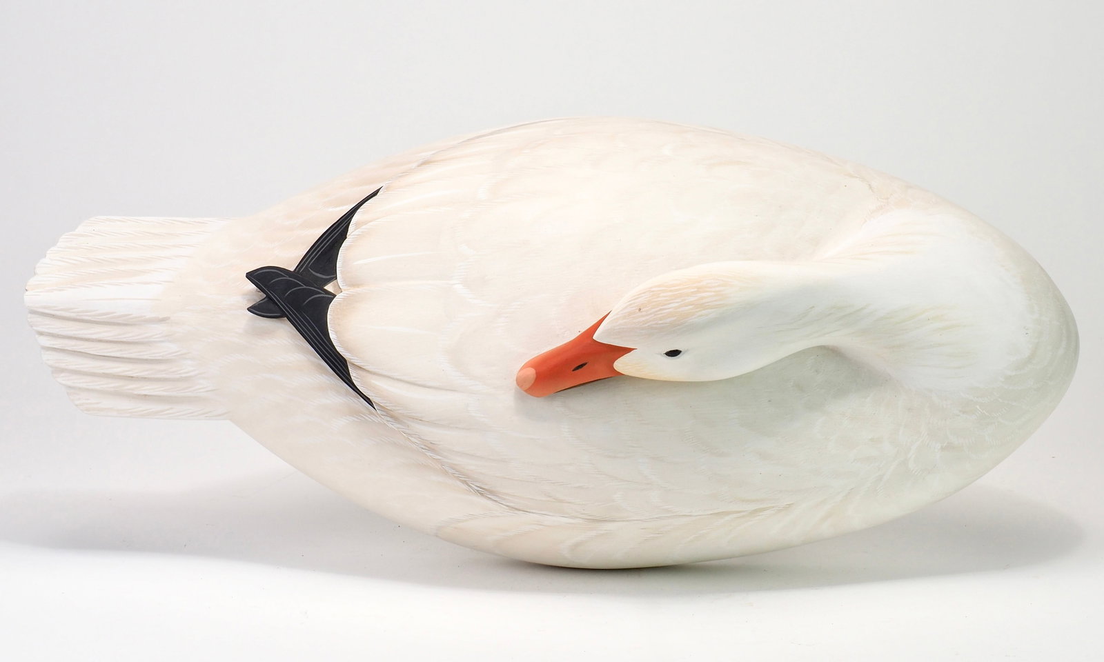 George Strunk - Sleeping Snow Goose - 5