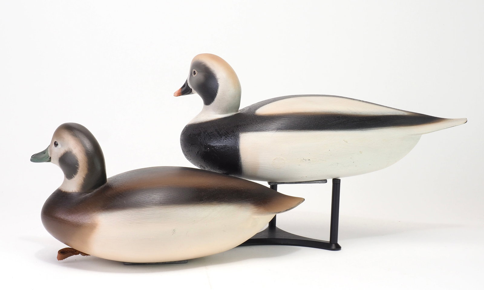 Sean Sutton - Long Tail Pair - 2