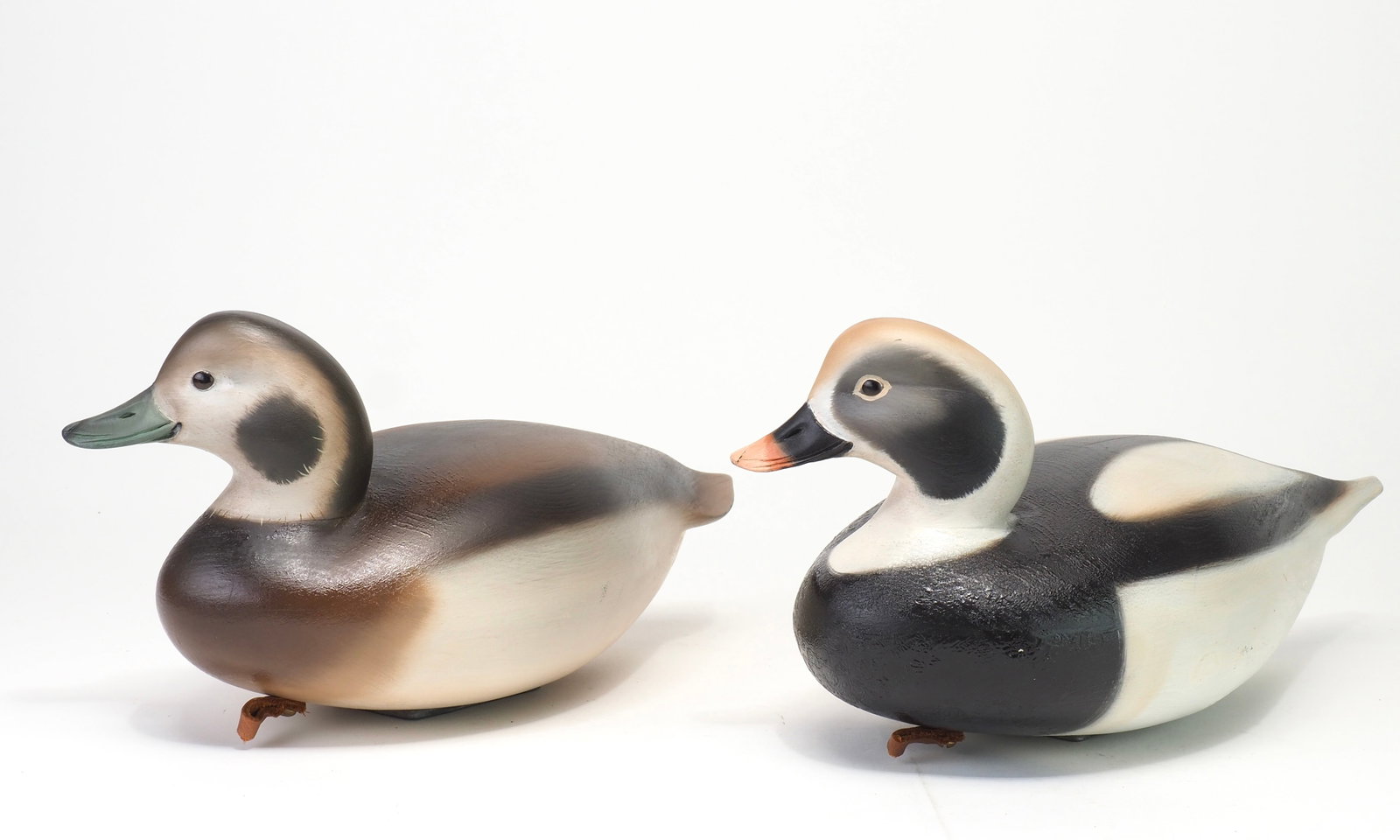 Sean Sutton - Long Tail Pair - 3