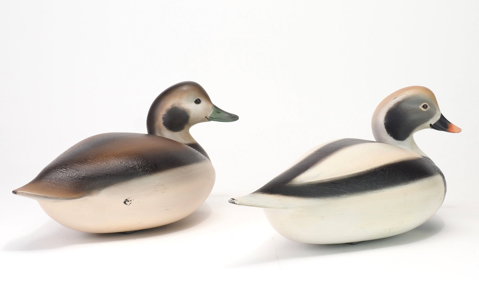 Sean Sutton - Long Tail Pair - 4