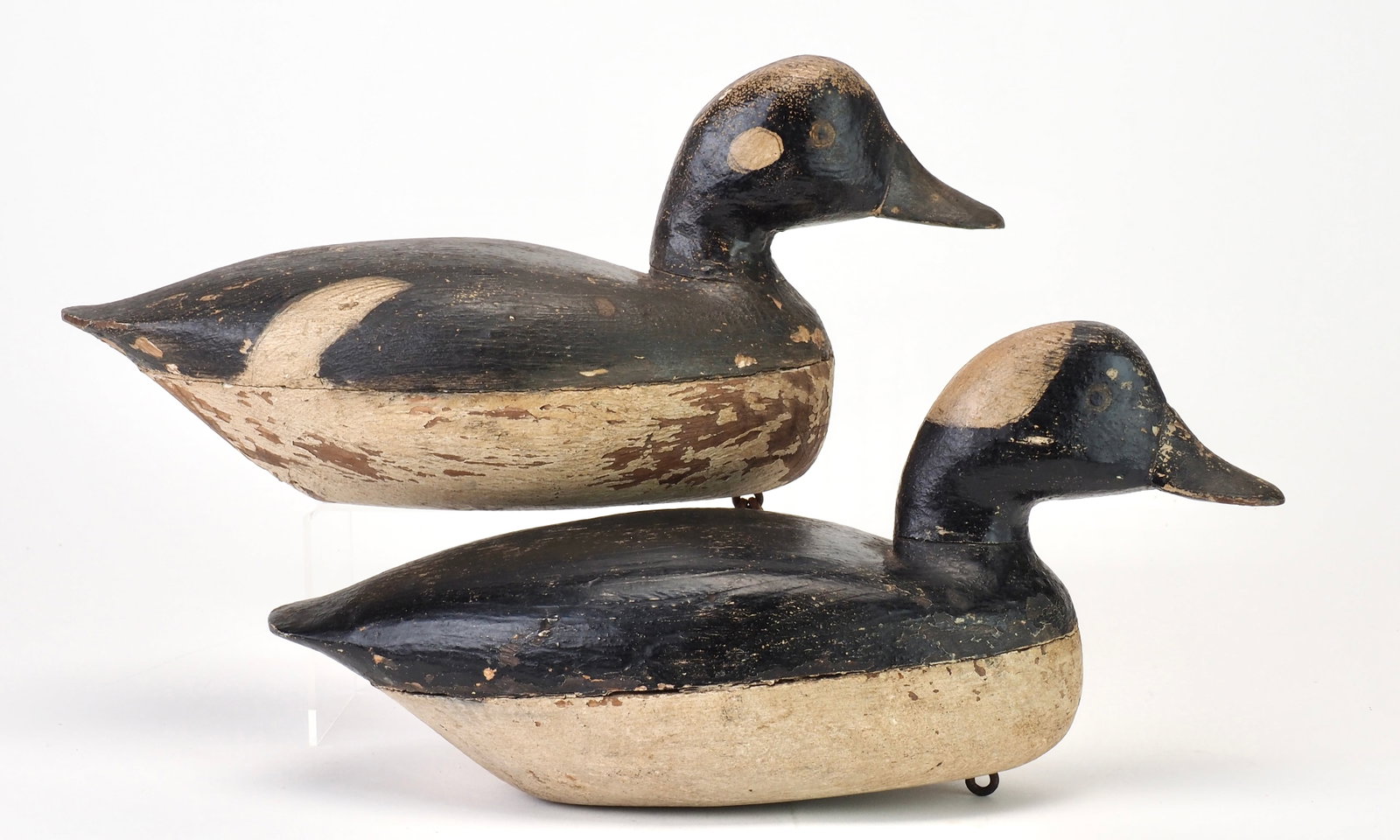 Jake Barrett - Rare Bufflehead Pair - 2