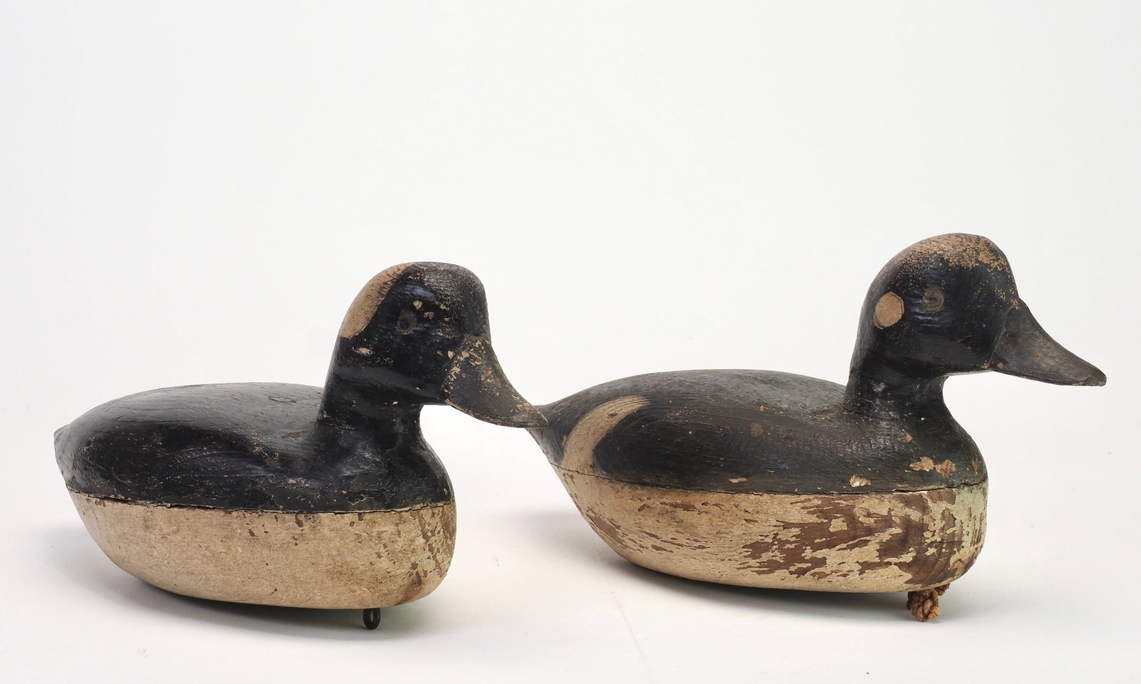 Jake Barrett - Rare Bufflehead Pair - 3