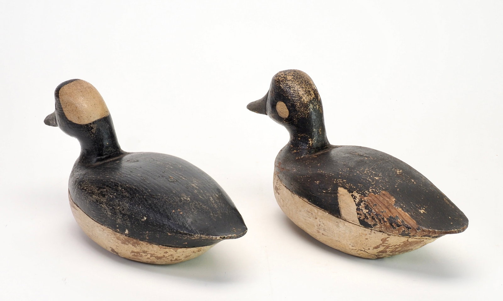 Jake Barrett - Rare Bufflehead Pair - 4