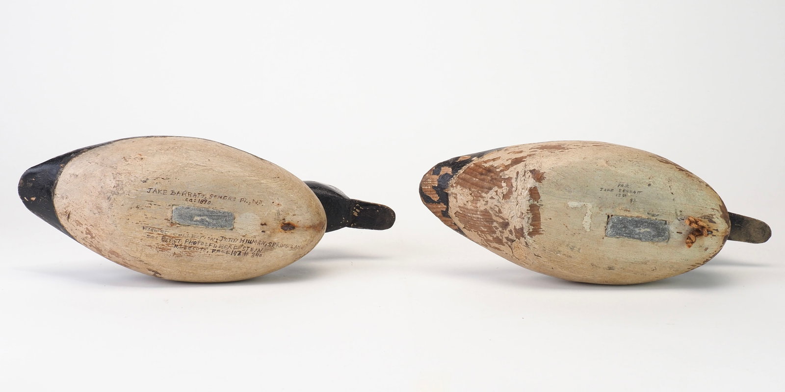 Jake Barrett - Rare Bufflehead Pair - 5