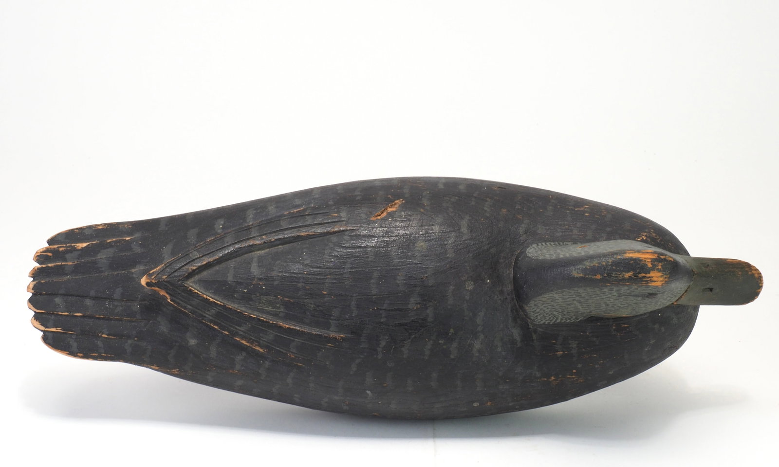 Tom Fitzpatrick - Black Duck - 5